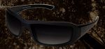Hamel Polarized Lens